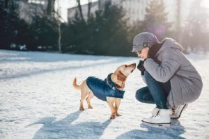 Best-Dog-Winter-Coats