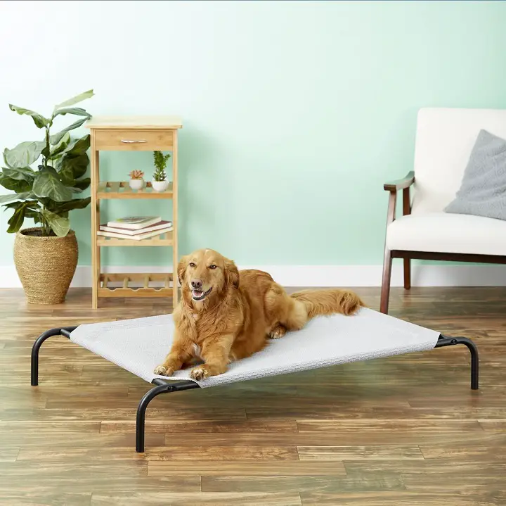 Coolaroo-Steel-Framed-Elevated-Dog-Bed