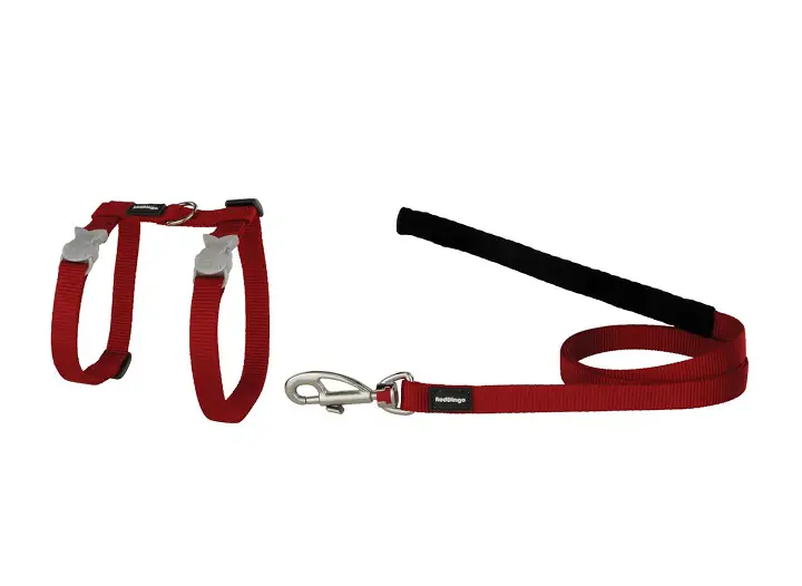 Red-Dingo-Classic-Nylon-Cat-Harness-&-Leash