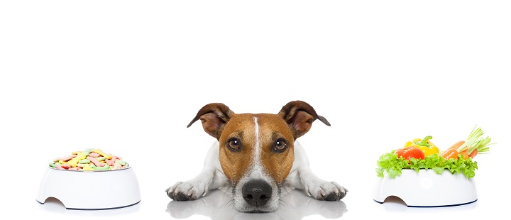best high fiber dog foods