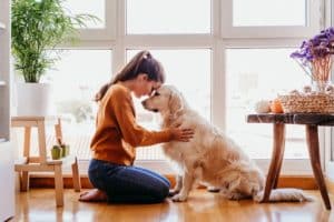 Best-dogs-for-Anxiety