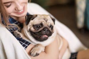 Surrender-My-Dog-for-Free