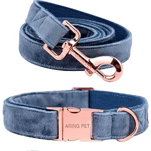 Blue Denim Cute Dog Collar with Leash