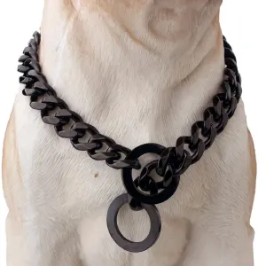 Dog wearing black chain collar around its neck