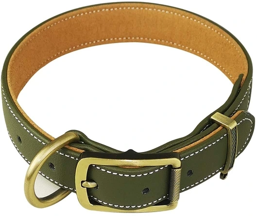Green Leather dog collar