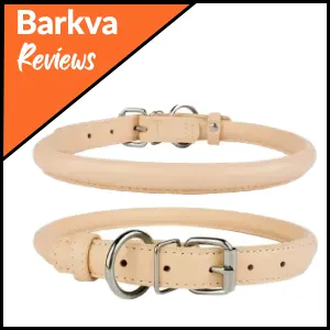 01 CollarDirect Rolled Leather Dog Collar