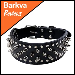 02 BONAWEN Leather Dog Collar Studded Dog Collar with Spikes