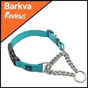 Blue Max and Neo Stainless Steel Martingale Collar
