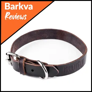 Brown Mighty Paw Leather Dog Collar