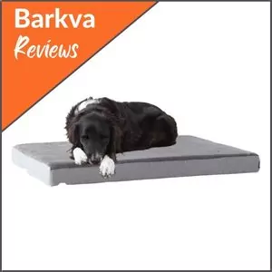 Barkbox-Memory-Foam-Platform-Dog-Bed