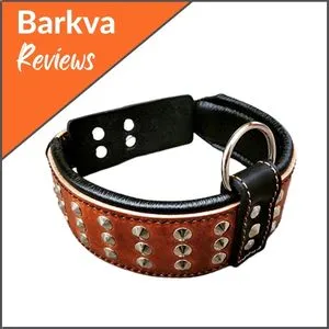 Bestia-Genuine-Leather-Dog-Collar
