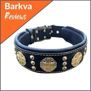 Bestia-Maximus-Leather-Dog-Collar-For-Large-Breeds