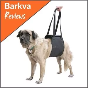 Max-and-Neo-Dog-Lift-Support-and-Rehab-Harness