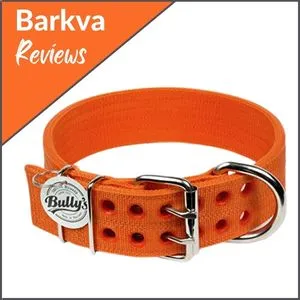 Pitbull-Collar-For-Large-Dogs