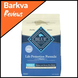 01 Blue Buffalo Life Protection Adult Dry Dog Food