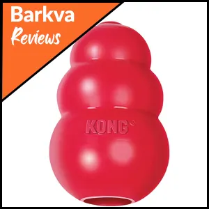 01 KONG Classic Dog Toy
