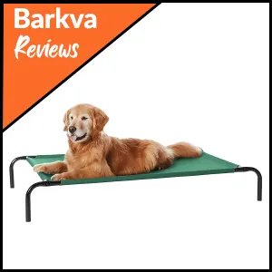 06 AmazonBasics Elevated Dog Bed