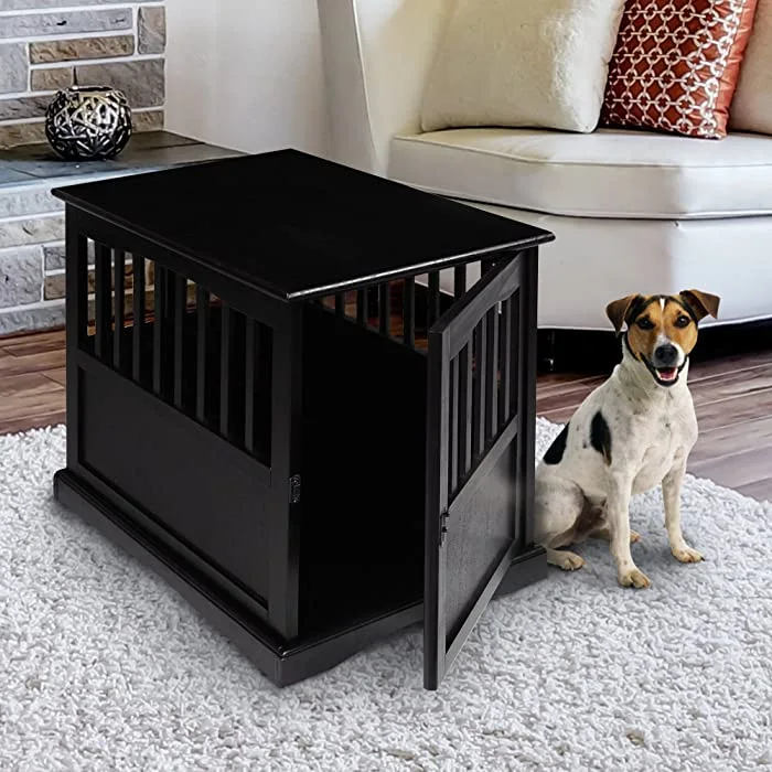 Dog sitting next to crate end table