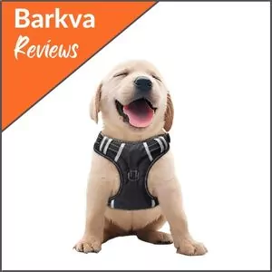 BABYLTRL-Big-Dog-Harness