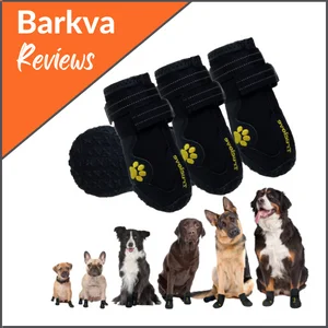 Best-Budget-Dog-Boots-XPAWLORER-Waterproof-Dog-Boots