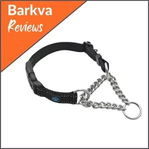 Max-And-Neo-Stainless-Steel-Martingale-Chain-Collar