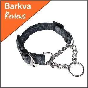 Mighty-Paw-Martingale-Collar