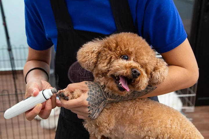 Groomer using a nail grinder