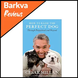 How To Raise The Perfect Dog By Cesar Millan
