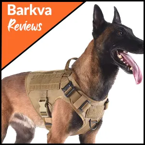 01-ICEFANG-Tactical-Dog-Harness