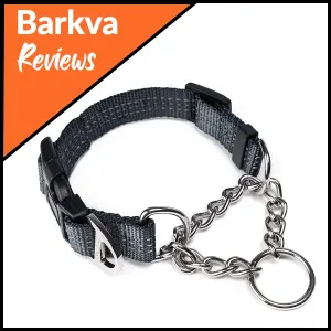 02-Mighty-Paw-Martingale-Collar