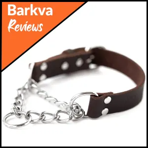 Mighty Paw Leather Martingale Collar