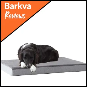 05-Barkbox-Memory-Foam-Platform-Dog-Bed