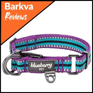 05 Blueberry Pet Reflective Stripe Adjustable Dog Collar