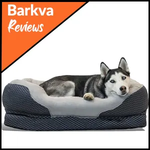 BarksBar Orthopedic Dog Bed