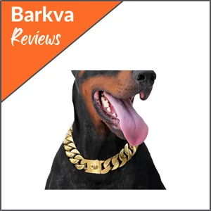 Best-For-Larger-Dogs-Pet-State-Big-Dog-Gold-Chain-Collar
