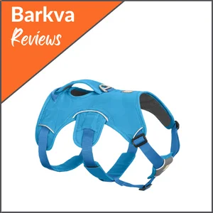 Best-for-Special-Needs-Dogs-RUFFWEAR-Web-Master-Multi-Use-Support-Dog-Harness