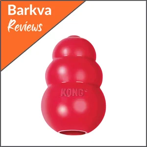 Our-Dogs-Favorite-KONG-Classic-Dog-Toy
