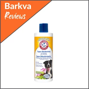 Best Budget-Friendly Option Arm & Hammer – Kiwi Blossom Scented Super Deodorizing Shampoo For Dogs
