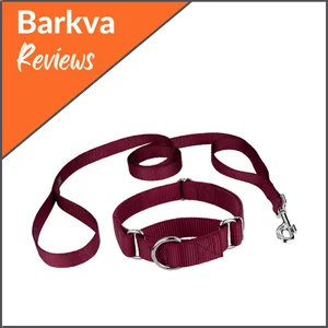 Best-Collar-and-Leash-Combo-Country-Brook-Collar-and-2-Handle-Leash