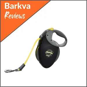Best-For-Big-Dogs-Flexi-Giant-Tape-Leash