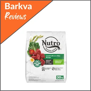 Best-Overall-Nutro-Natural-Choice-Dry-Dog-Food-For-Dogs-Aged-1