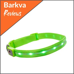 Best-for-Medium-Dog-Breeds-Blazin-Safety-LED-Collar
