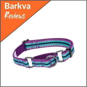 Best-for-Nighttime-Walks__-Blueberry-Reflective-Martingale-Dog-Collar