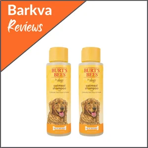 Best-for-Soothing-Our-Dogs-Skin-Burts-Bees-–-Natural-Oatmeal-Shampoo-for-Dogs