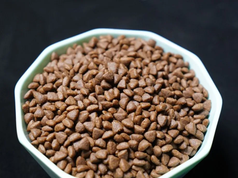 How to store dry dog food long term