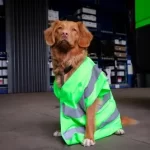 How to make a dog raincoat