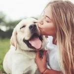 How To Keep A Dog Happy And Healthy