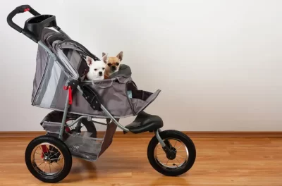 Convert a baby stroller into a pet stroller