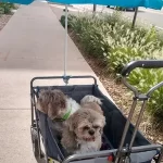 How to make a dog stroller