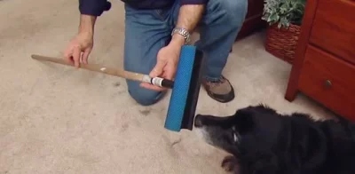 remove pet hair from the carpet with a rubber broom